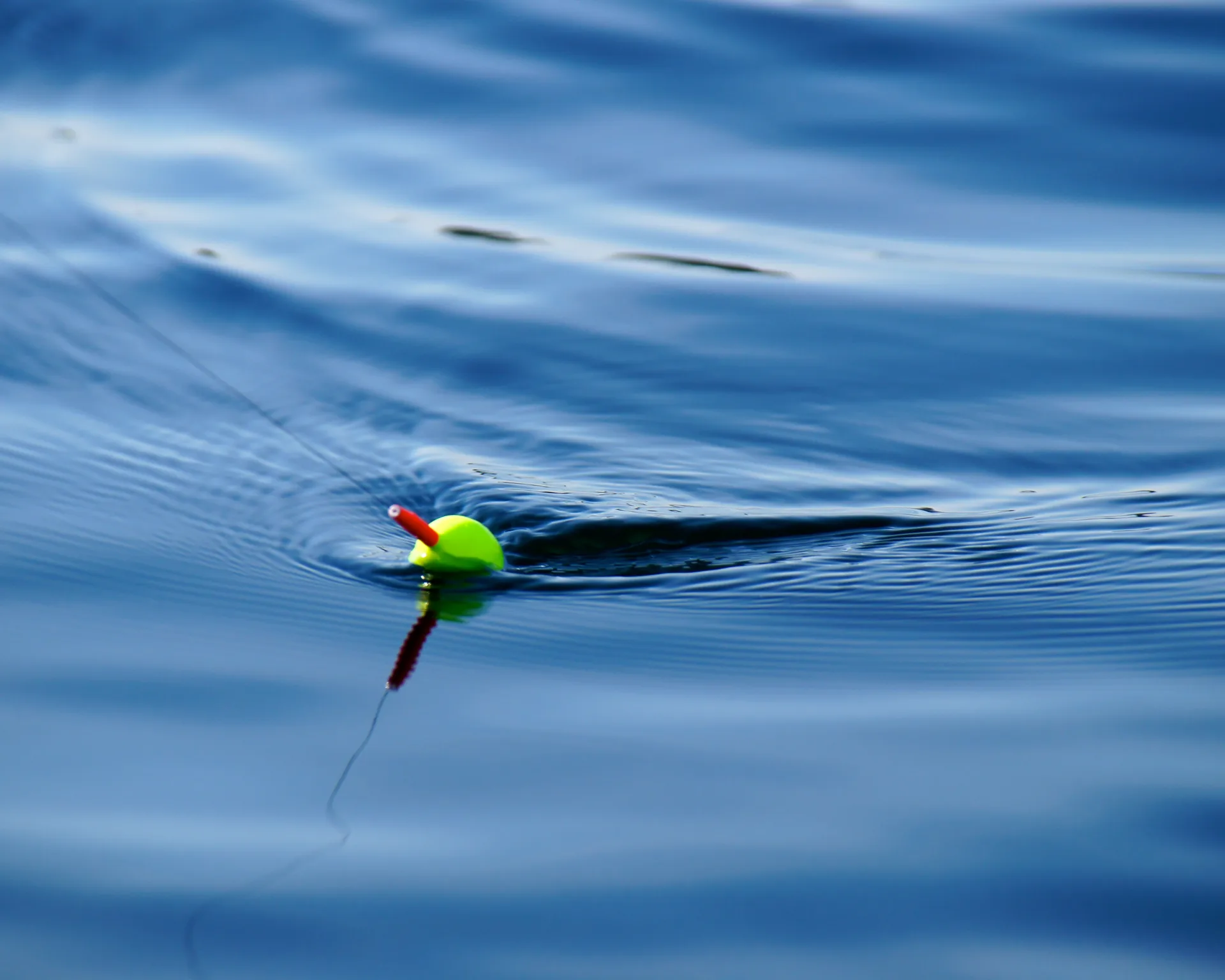 Réglementation de pêche au Lac de Sainte Croix du Verdon