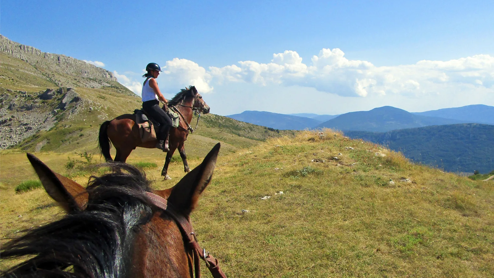 Balade équestre dans le Verdon