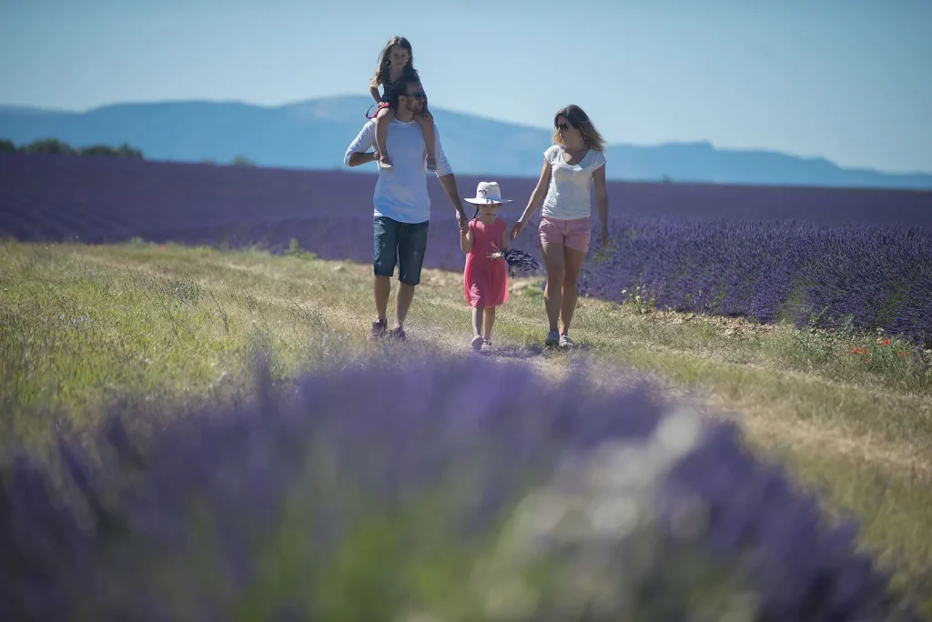 En famille dans les lavandes du Verdon