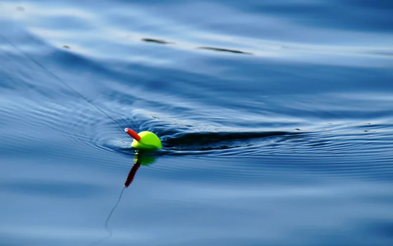 Réglementation de pêche au Lac de Sainte Croix du Verdon