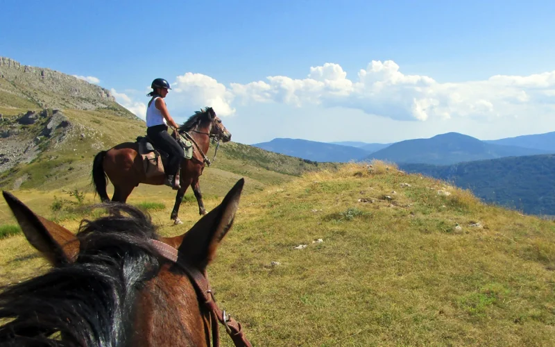 Balade équestre dans le Verdon