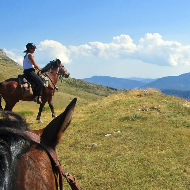 Balade équestre dans le Verdon